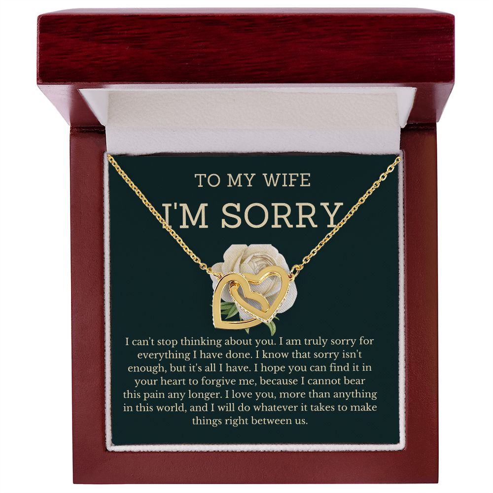 I'm Sorry Gifts for Her-  A Token of Love to Make Her Forgive You, Apology necklace, Forgiveness gift, I'm sorry necklace SNJW23-020314